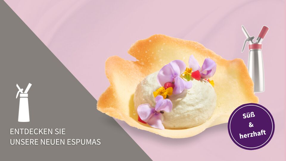 Neue Crispy Cones entdecken >